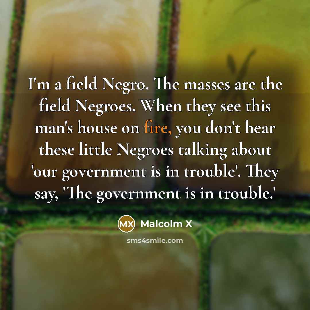 “I'm a field Negro. The masses are the field Negroes.…” quote by Malcolm X