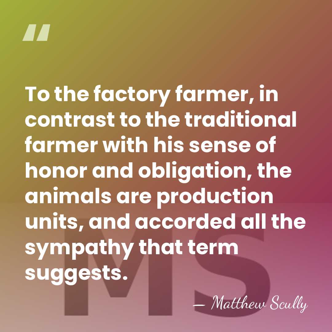 To the factory farmer, in contrast to the traditional farmer with his&hellip; - Matthew Scully