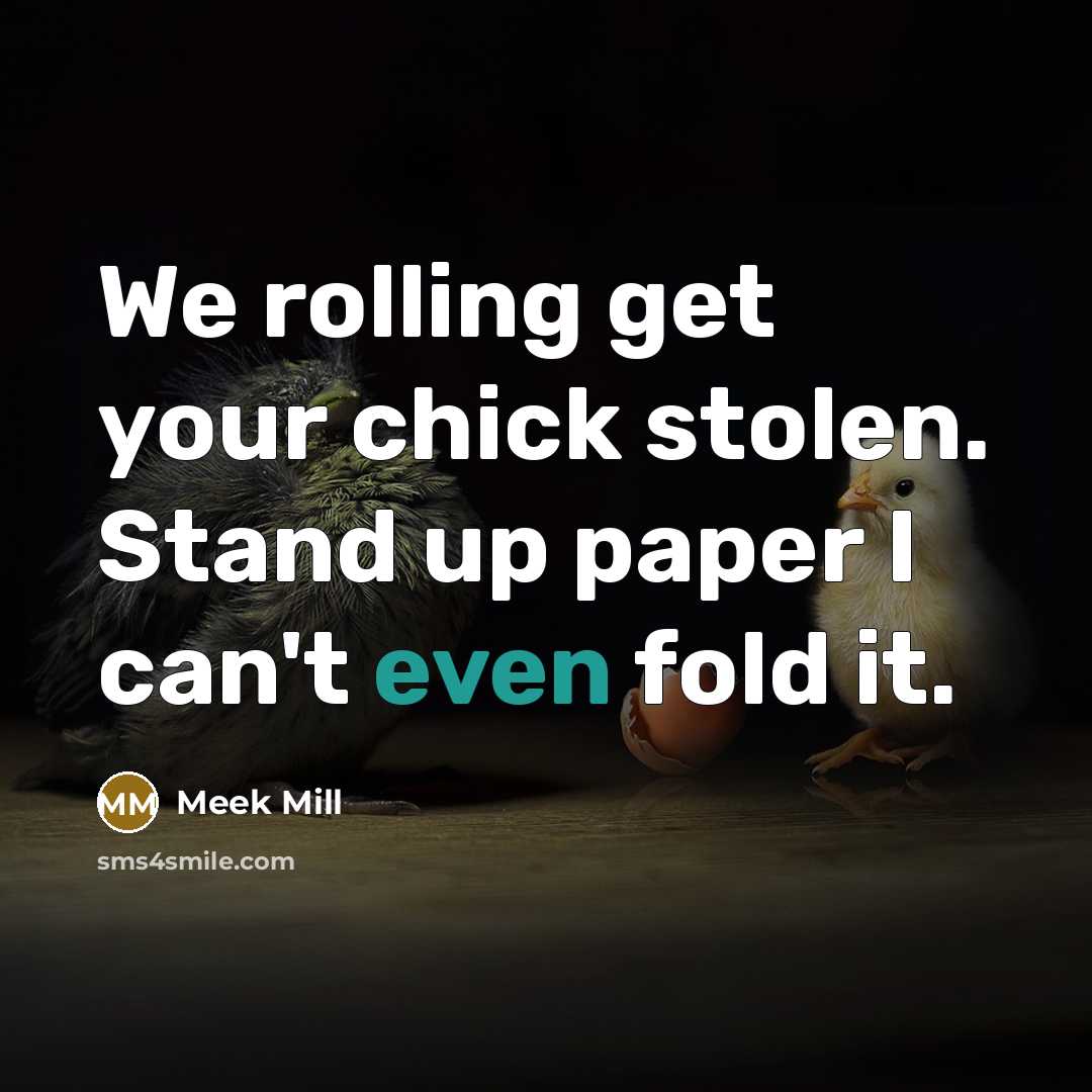 “We rolling get your chick stolen. Stand up paper I can't even fold it.” quote by Meek Mill