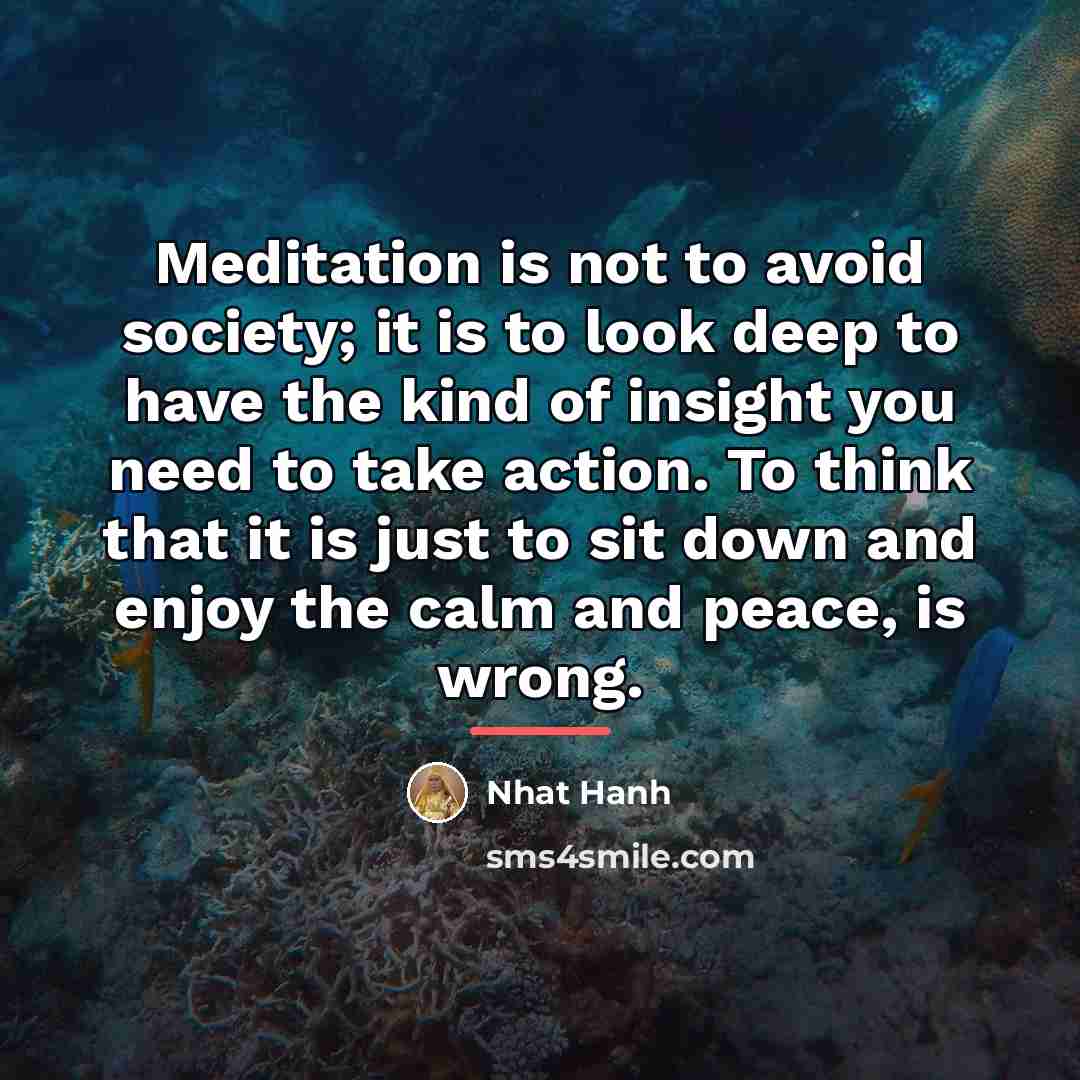 “Meditation is not to avoid society; it is to look…” quote by Nhat Hanh