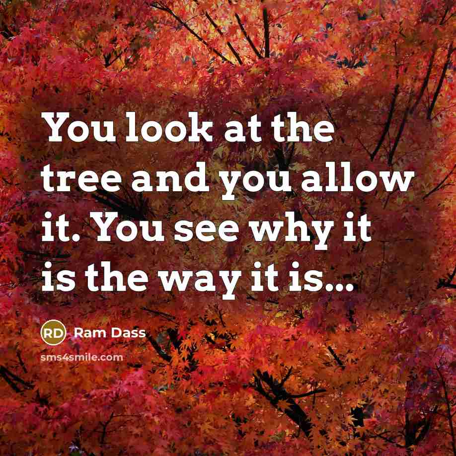 “You look at the tree and you allow it. You…” quote by Ram Dass