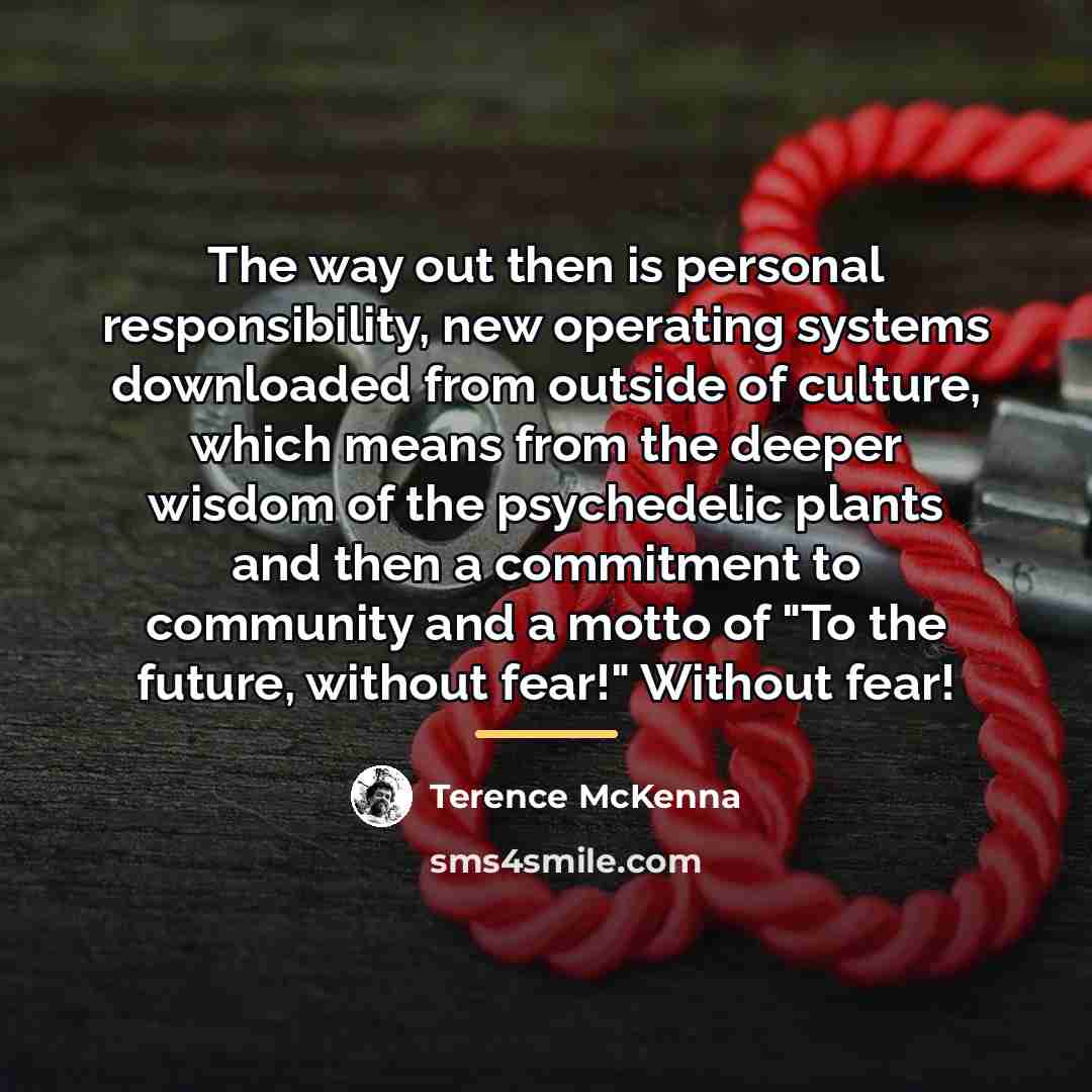 “The way out then is personal responsibility, new operating systems…” quote by Terence McKenna