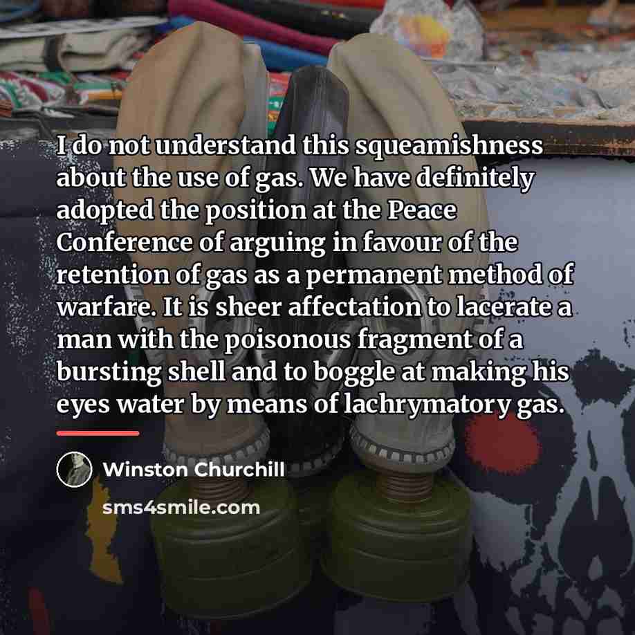 “I do not understand this squeamishness about the use of…” quote by Winston Churchill