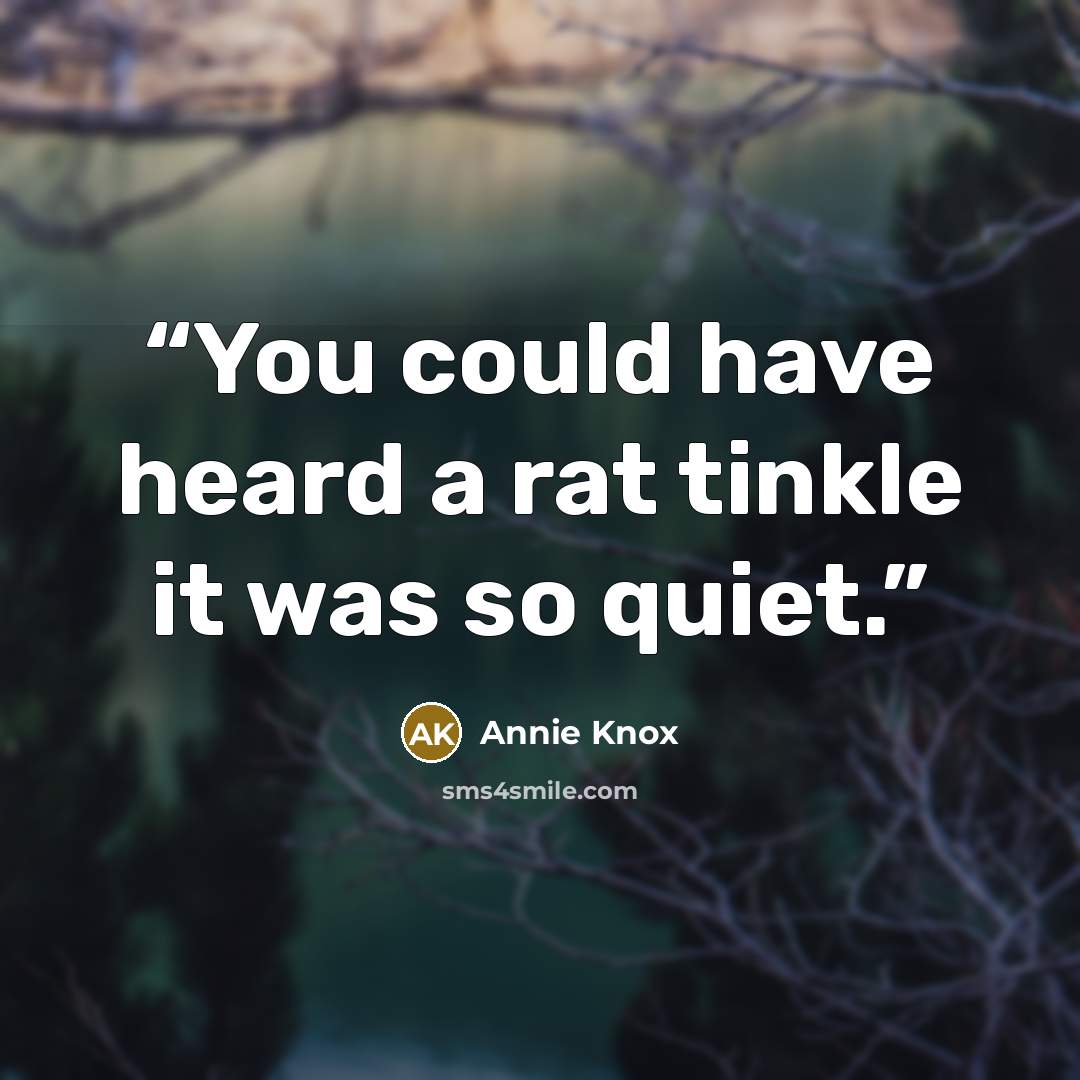 “You could have heard a rat tinkle it was so quiet.” quote by Annie Knox