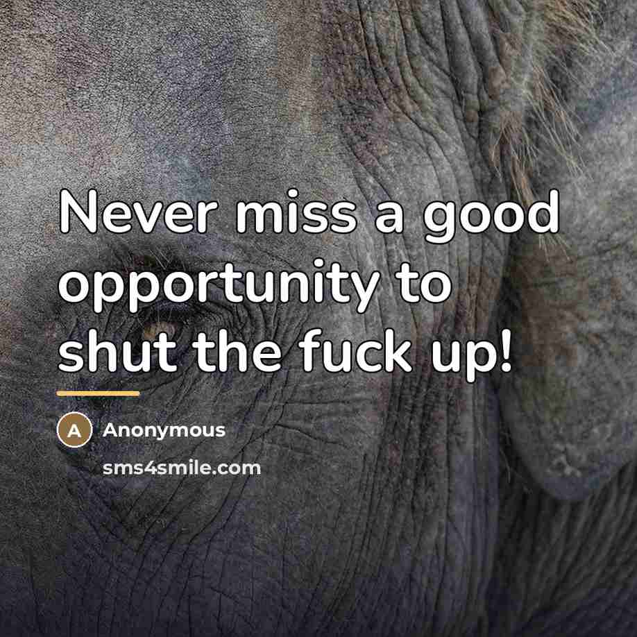 “Never miss a good opportunity to shut the fuck up!…” quote by Anonymous