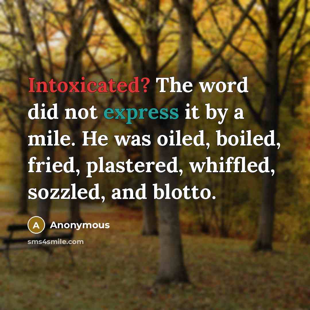 “Intoxicated? The word did not express it by a mile. He was oiled, boiled, fried, plastered, whiffled, sozzled, and blotto.” quote by Anonymous