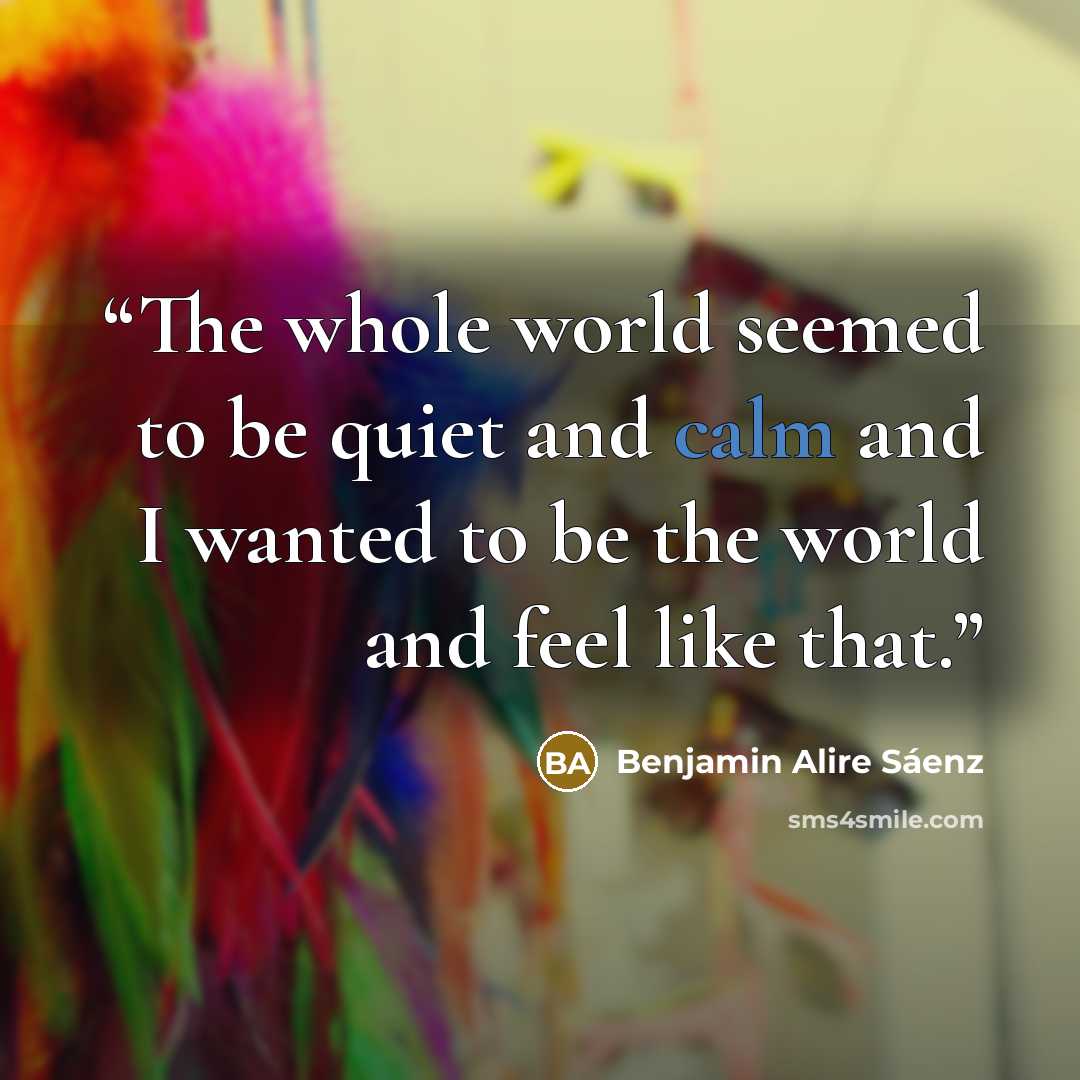 “The whole world seemed to be quiet and calm and I wanted to be the world and feel like that.” quote by Benjamin Alire Sáenz