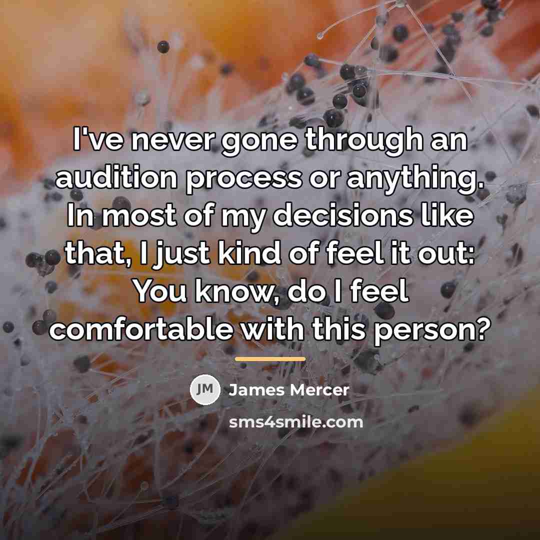 “I've never gone through an audition process or anything. In…” quote by James Mercer
