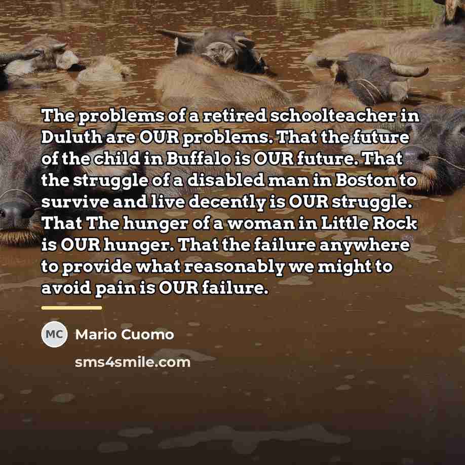 “The problems of a retired schoolteacher in Duluth are OUR…” quote by Mario Cuomo