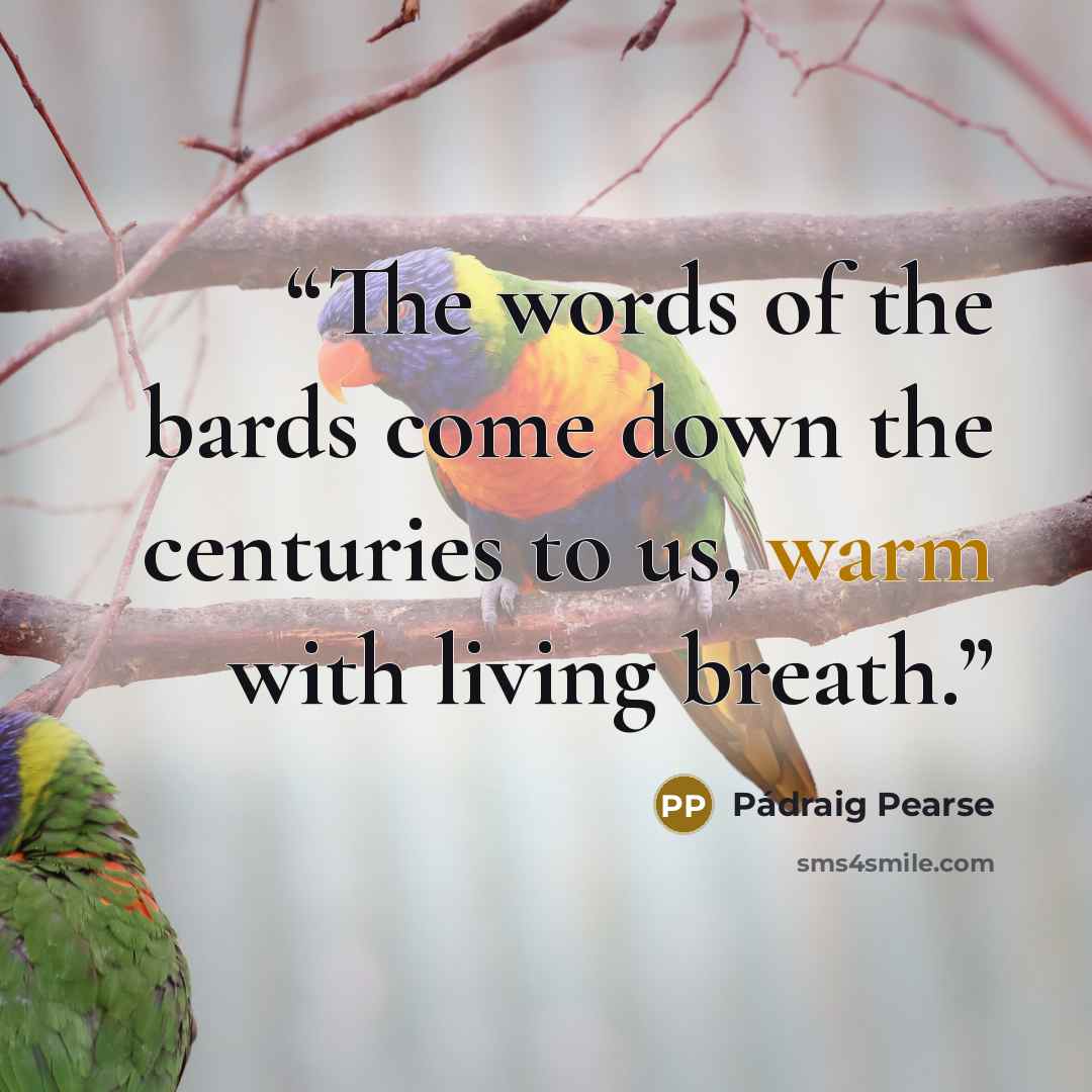 “The words of the bards come down the centuries to us, warm with living breath.” quote by Pádraig Pearse
