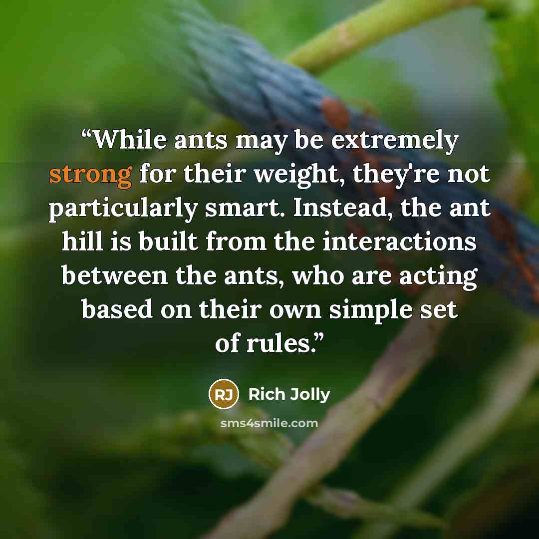 “While ants may be extremely strong for their weight, they're not particularly smart. Instead, the ant hill is built from the interactions between the ants, who are acting based on their own simple set of rules.” quote by Rich Jolly