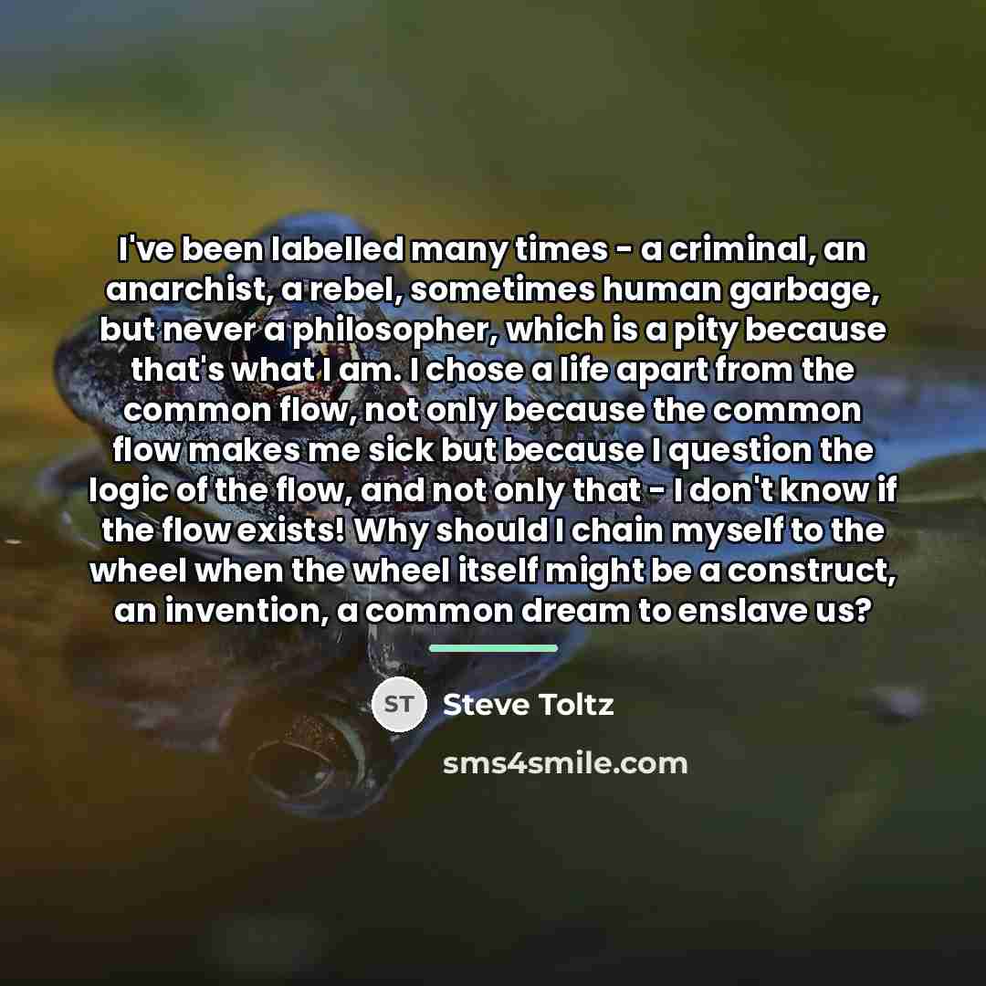 “I've been labelled many times - a criminal, an anarchist,…” quote by Steve Toltz