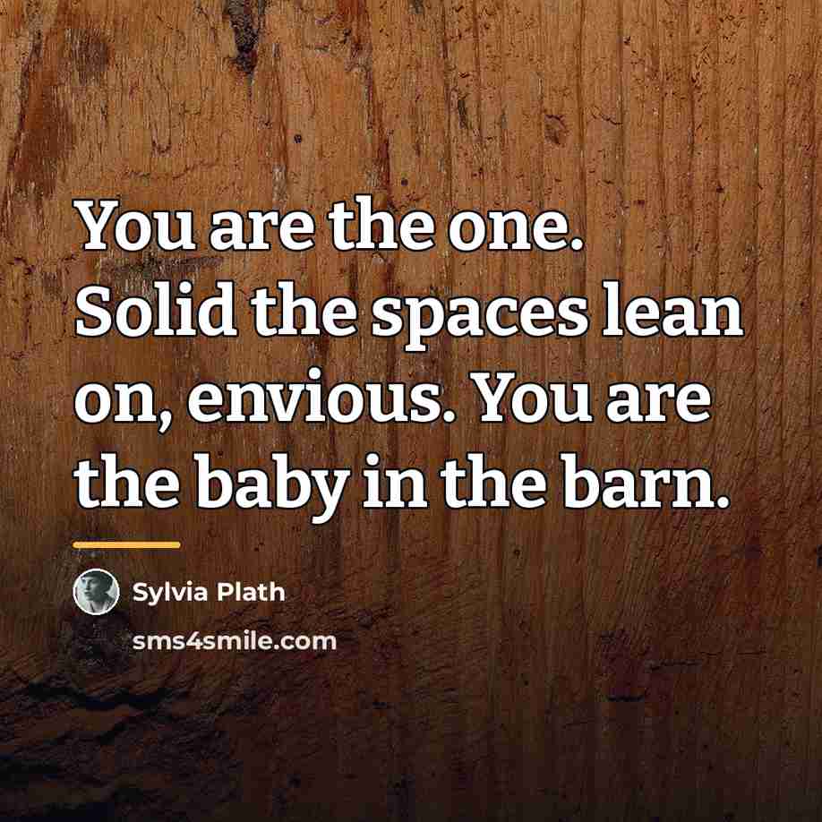 “You are the one. Solid the spaces lean on, envious.…” quote by Sylvia Plath