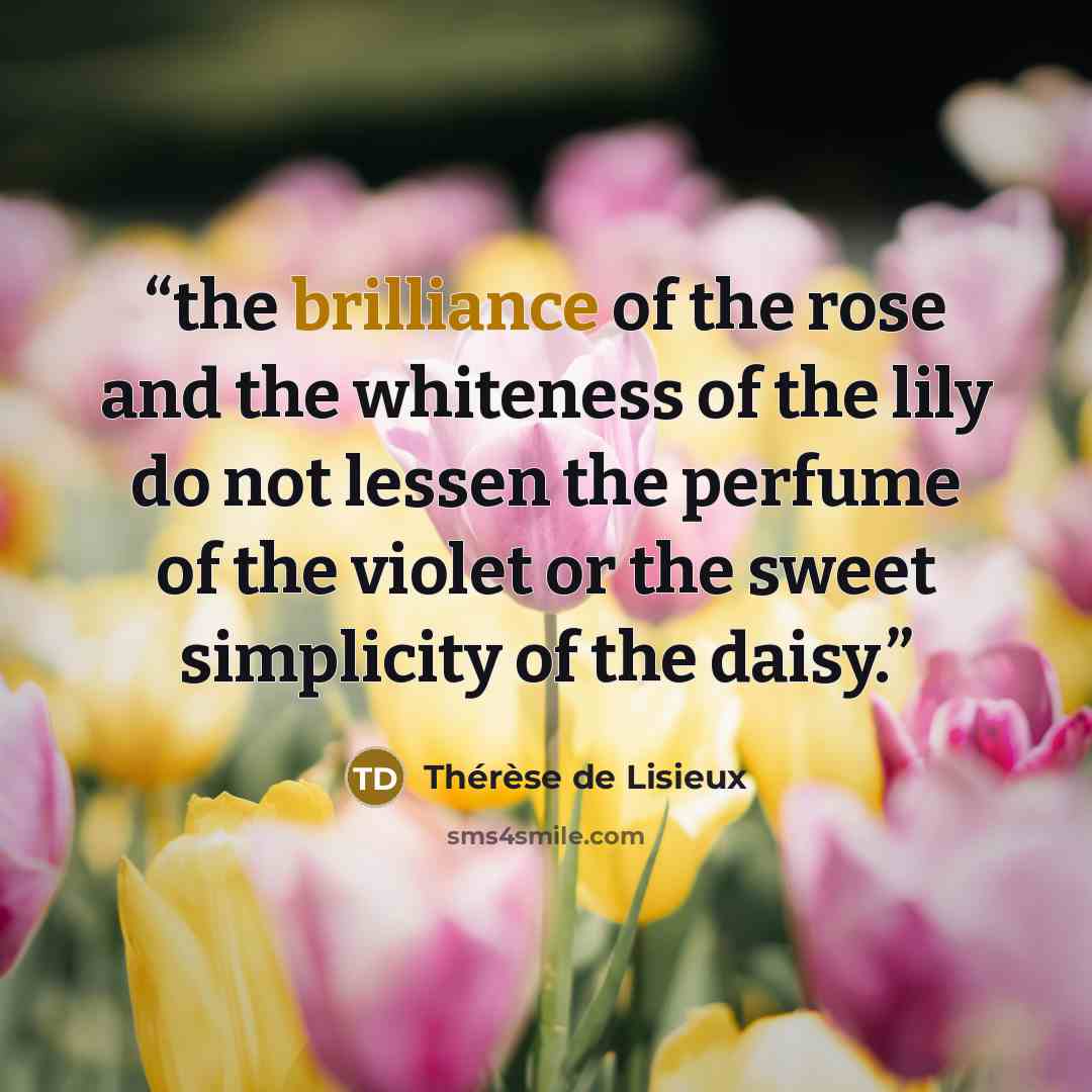 “the brilliance of the rose and the whiteness of the lily do not lessen the perfume of the violet or the sweet simplicity of the daisy.” quote by Thérèse de Lisieux