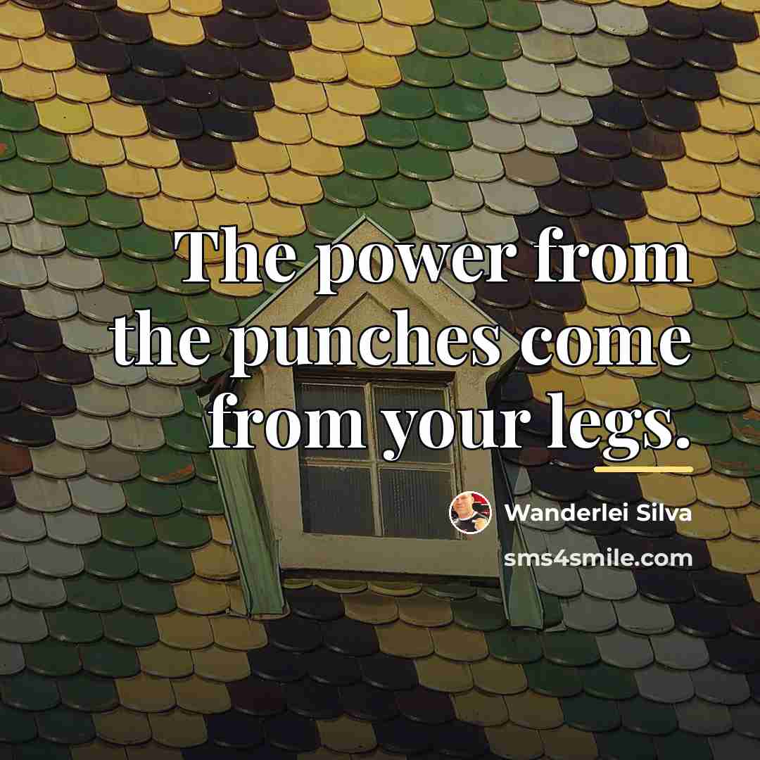 “The power from the punches come from your legs.…” quote by Wanderlei Silva
