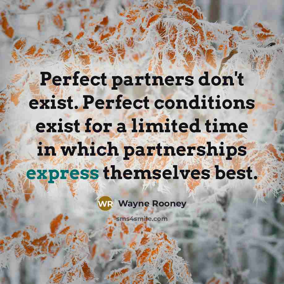 “Perfect partners don't exist. Perfect conditions exist for a limited…” quote by Wayne Rooney