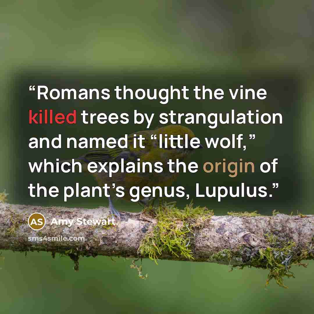 “Romans thought the vine killed trees by strangulation and named it “little wolf,” which explains the origin of the plant’s genus, Lupulus.” quote by Amy Stewart