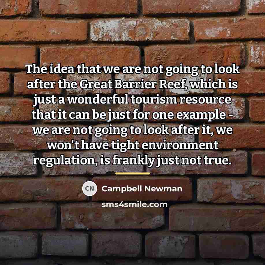 “The idea that we are not going to look after…” quote by Campbell Newman
