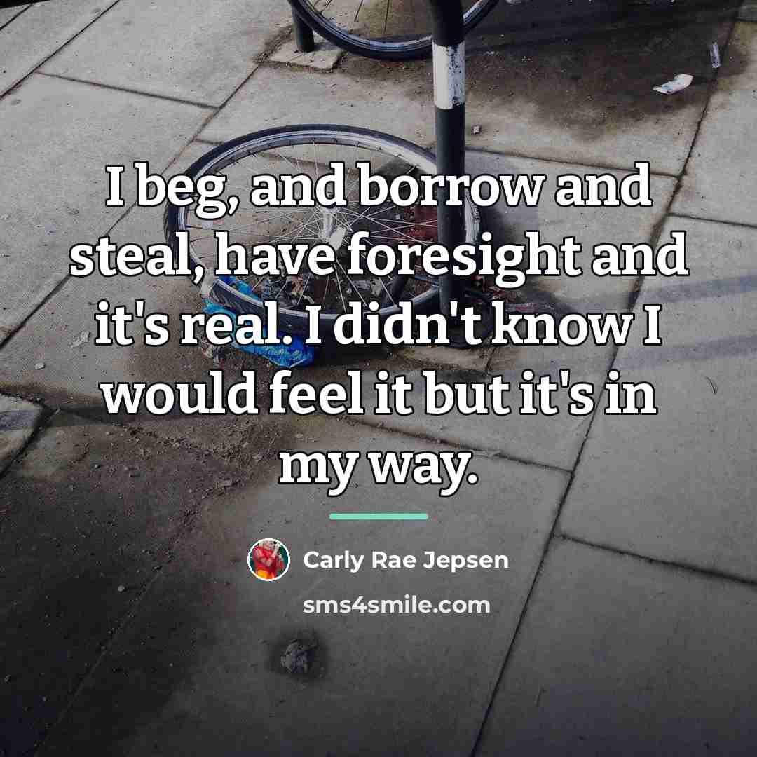 “I beg, and borrow and steal, have foresight and it's…” quote by Carly Rae Jepsen