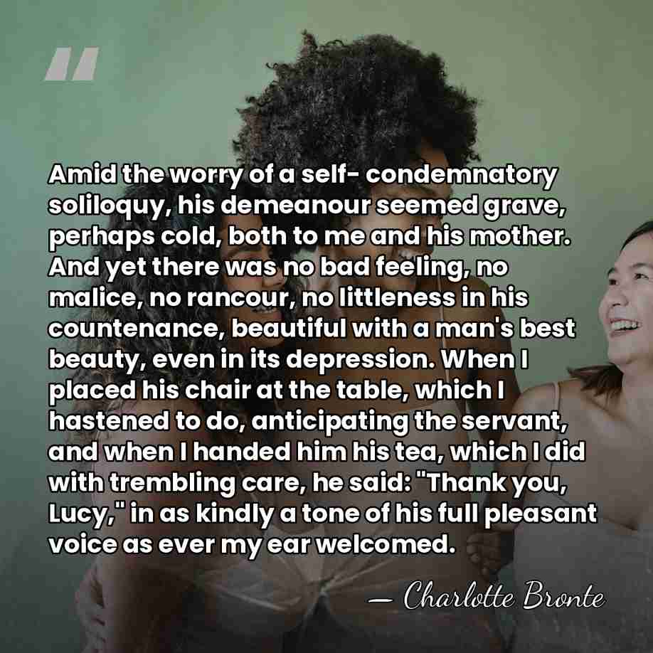 Amid the worry of a self- condemnatory soliloquy, his demeanour seemed grave,&hellip; - Charlotte Bronte