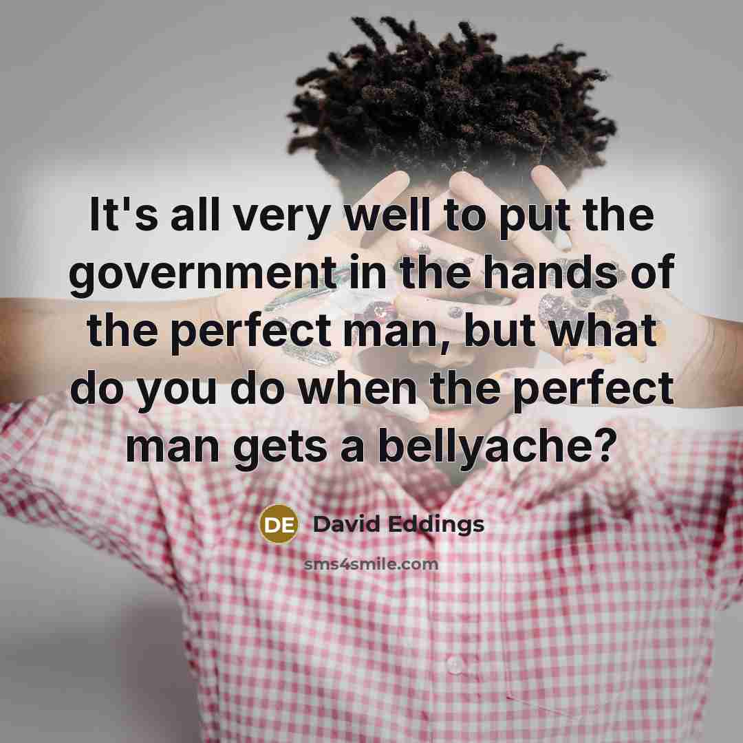 “It's all very well to put the government in the…” quote by David Eddings