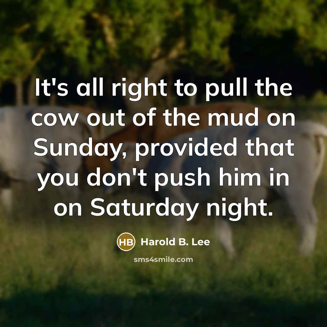 “It's all right to pull the cow out of the…” quote by Harold B. Lee