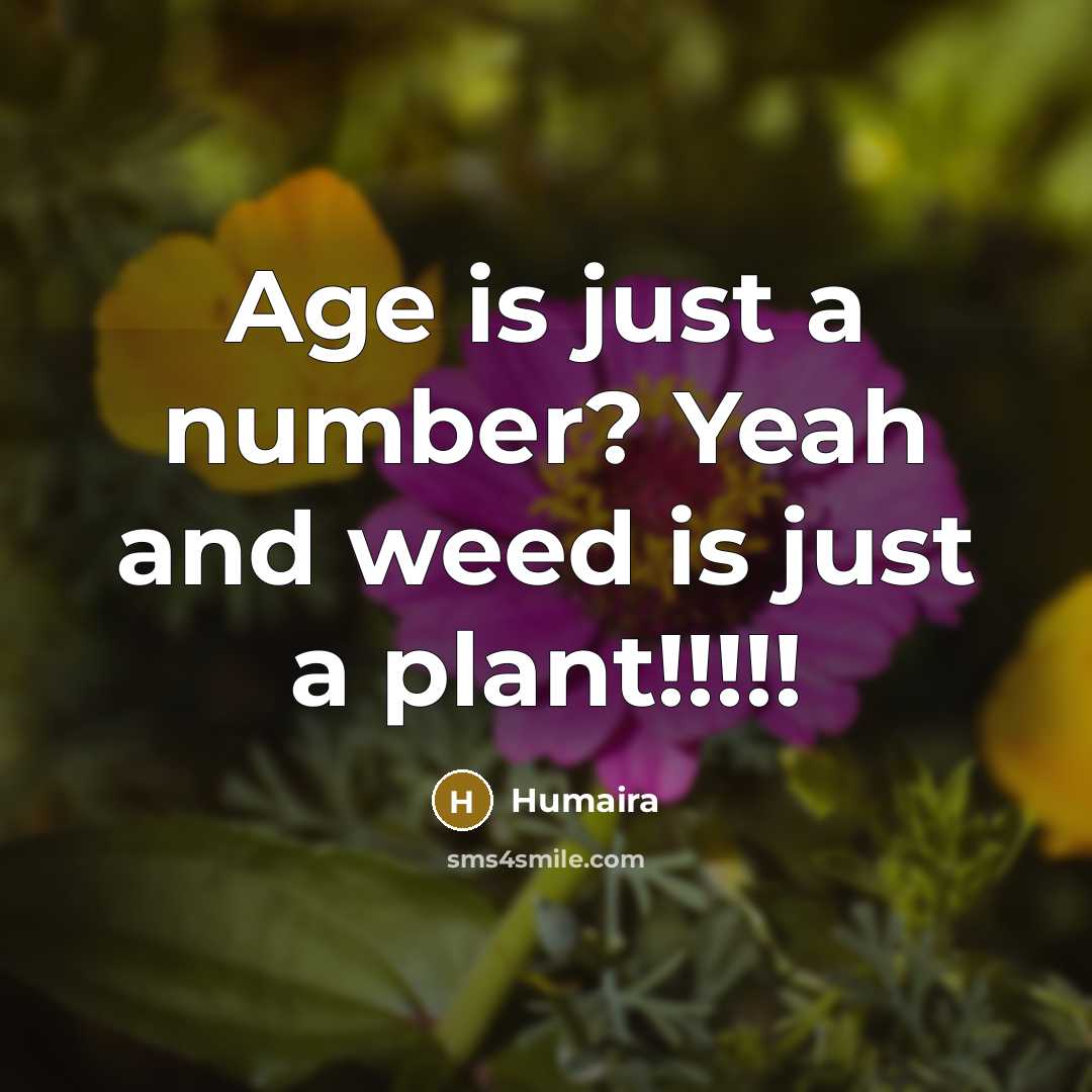 “Age is just a number? Yeah and weed is just…” quote by Humaira