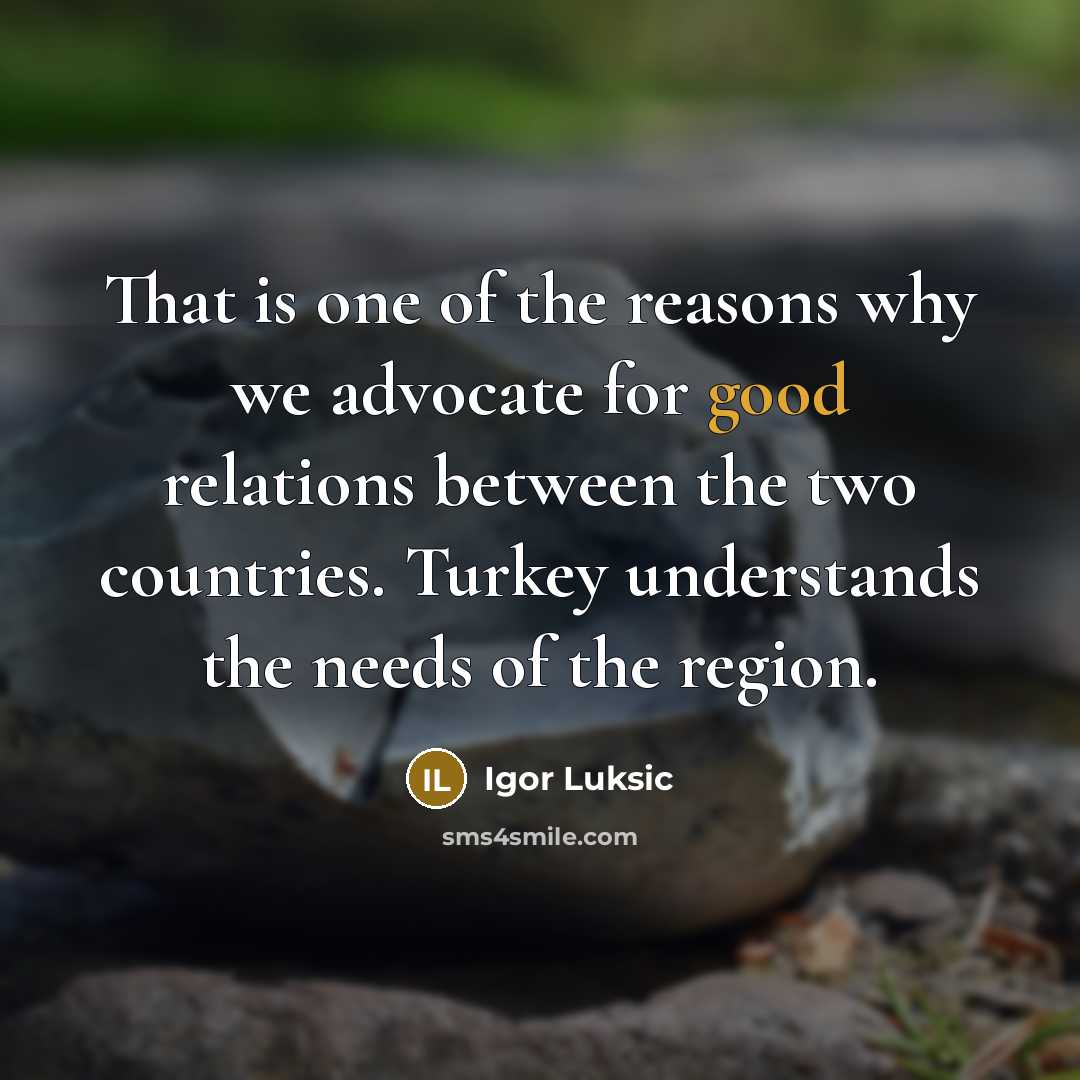 “That is one of the reasons why we advocate for…” quote by Igor Luksic