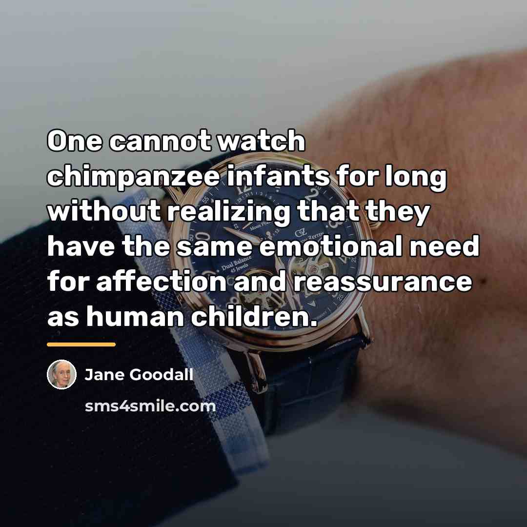 “One cannot watch chimpanzee infants for long without realizing that…” quote by Jane Goodall