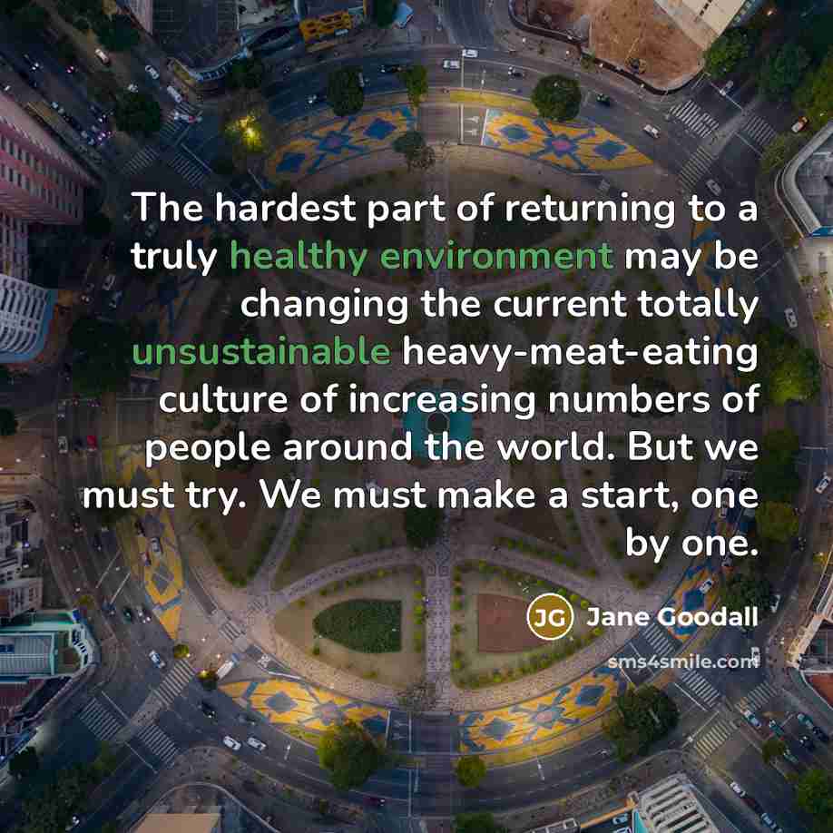 “The hardest part of returning to a truly healthy environment…” quote by Jane Goodall