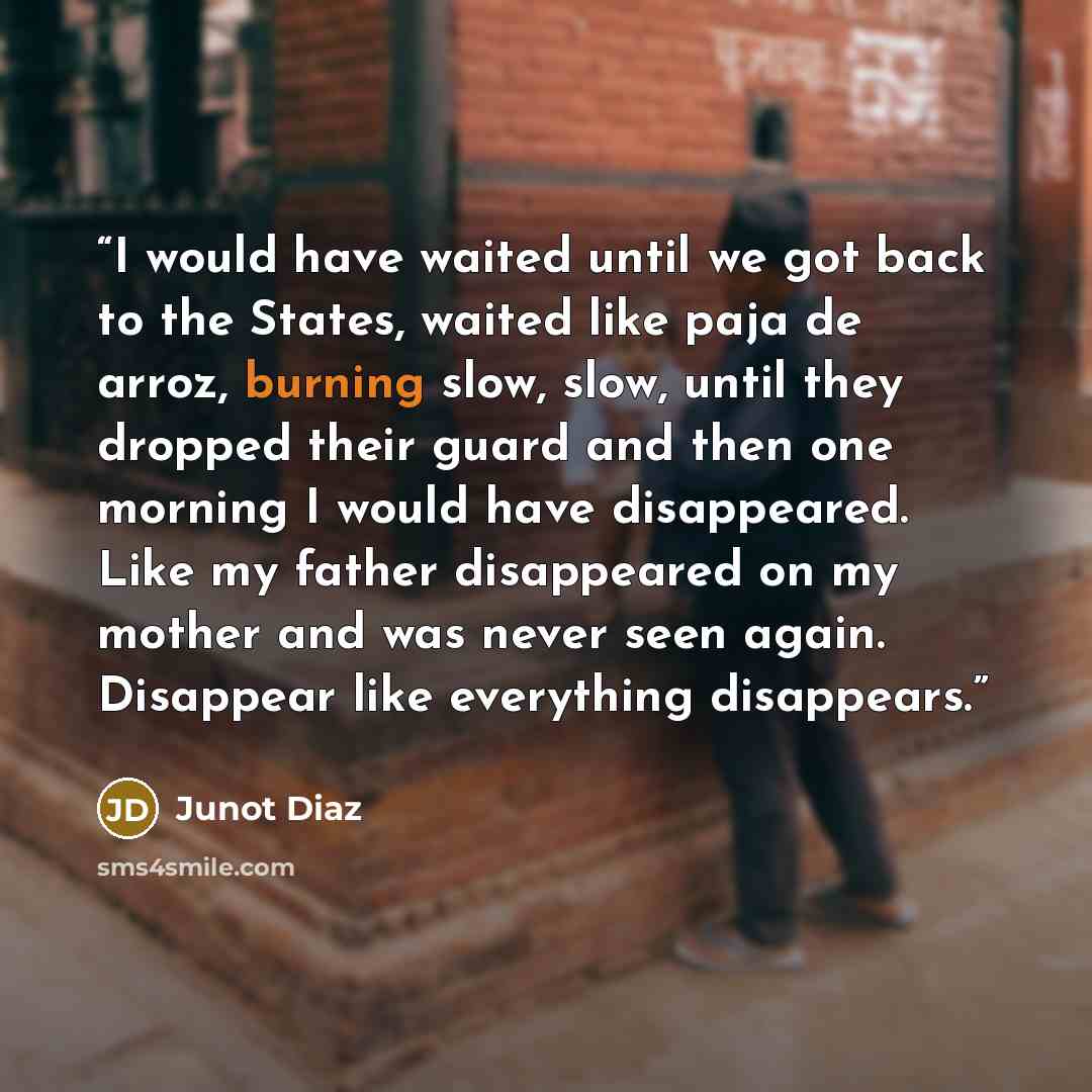 “I would have waited until we got back to the States, waited like paja de arroz, burning slow, slow, until they dropped their guard and then one morning I would have disappeared. Like my father disappeared on my mother and was never seen again. Disappear like everything disappears.” quote by Junot Díaz