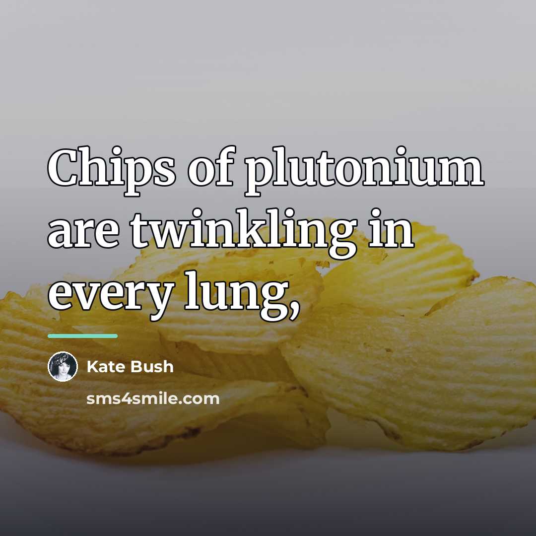 “Chips of plutonium are twinkling in every lung,…” quote by Kate Bush