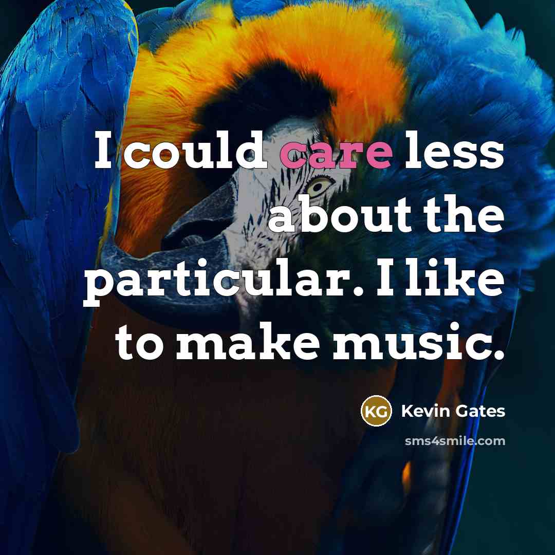“I could care less about the particular. I like to…” quote by Kevin Gates