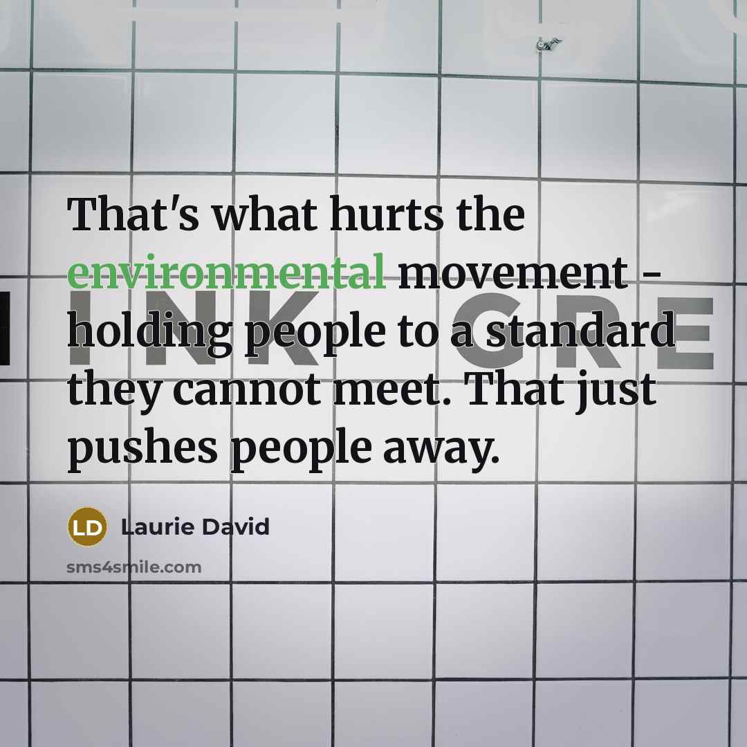 “That's what hurts the environmental movement - holding people to…” quote by Laurie David