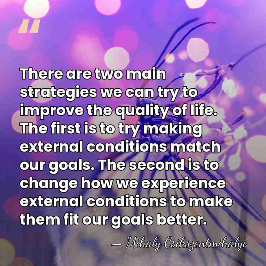 There are two main strategies we can try to improve the quality&hellip; - Mihaly Csikszentmihalyi