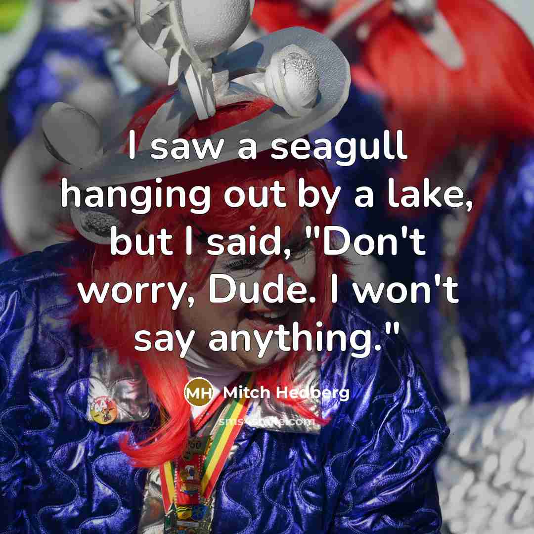“I saw a seagull hanging out by a lake, but…” quote by Mitch Hedberg