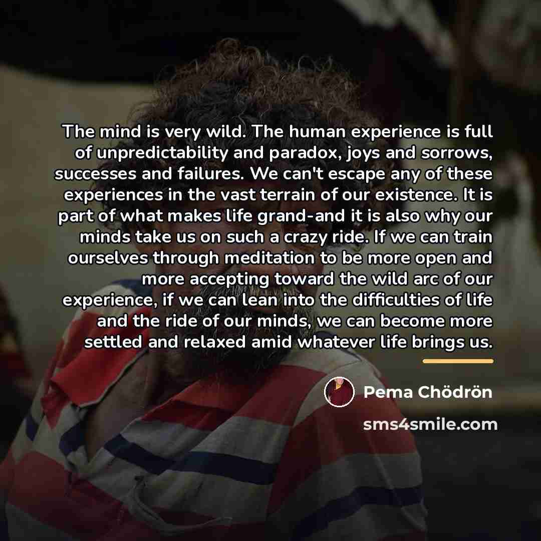 “The mind is very wild. The human experience is full…” quote by Pema Chodron