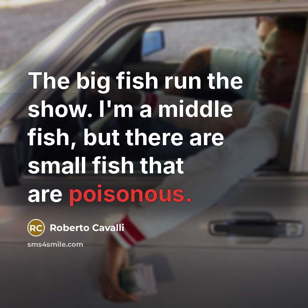 “The big fish run the show. I'm a middle fish,…” quote by Roberto Cavalli