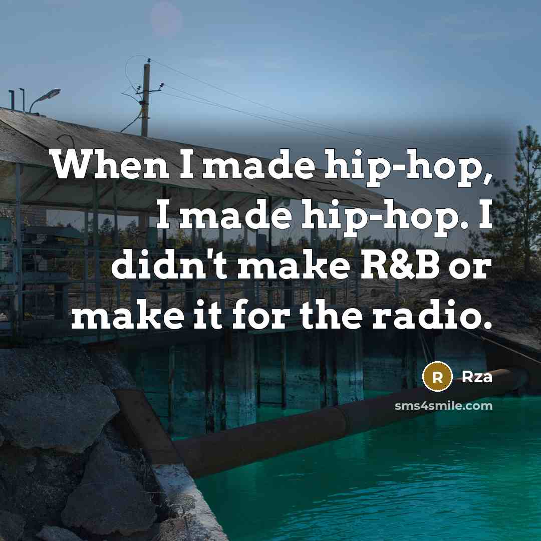 “When I made hip-hop, I made hip-hop. I didn't make…” quote by Rza
