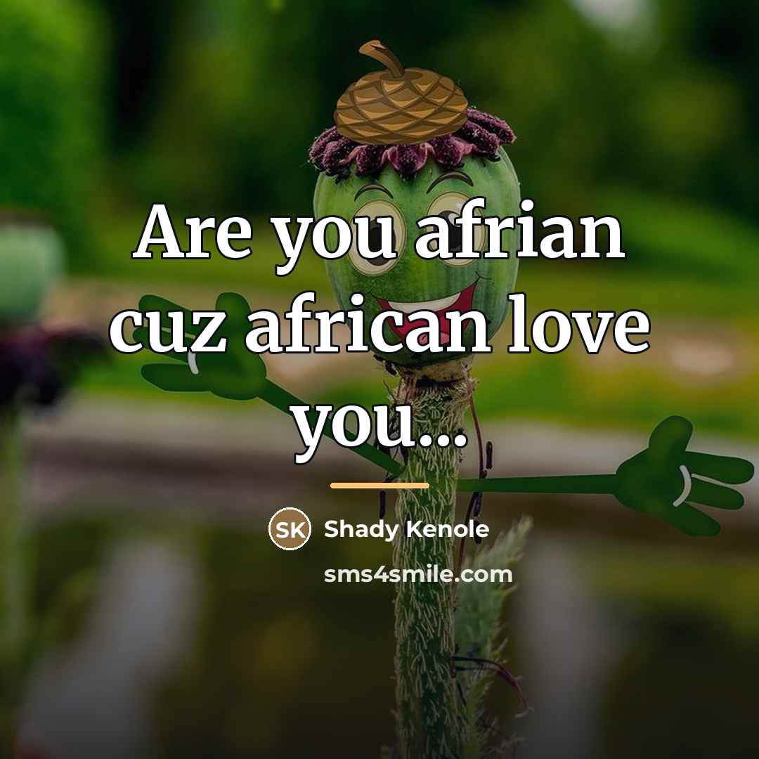 “Are you afrian cuz african love you...…” quote by Shady Kenole