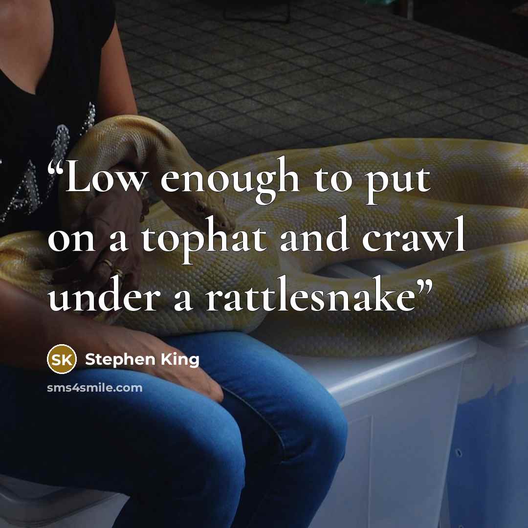 “Low enough to put on a tophat and crawl under a rattlesnake” quote by Stephen King
