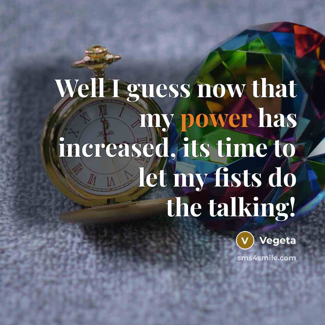 “Well I guess now that my power has increased, its time to let my fists do the talking!” quote by Vegeta