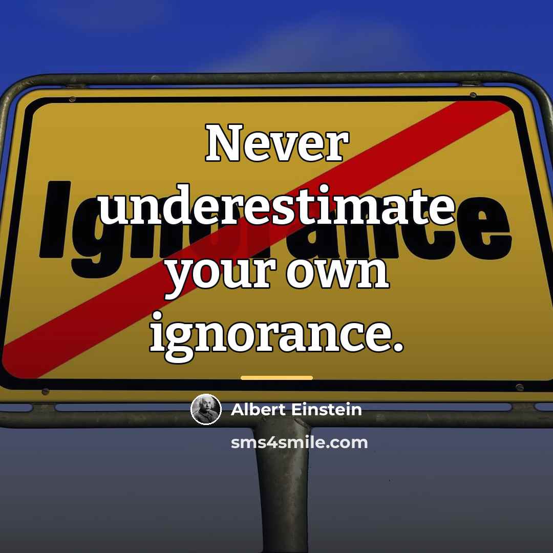 “Never underestimate your own ignorance.…” quote by Albert Einstein