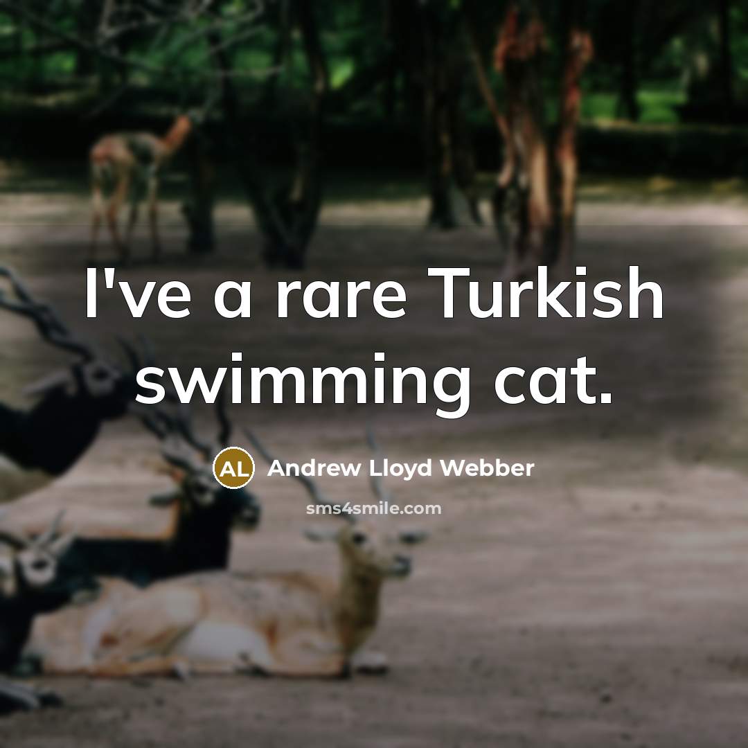 “I've a rare Turkish swimming cat.…” quote by Andrew Lloyd Webber