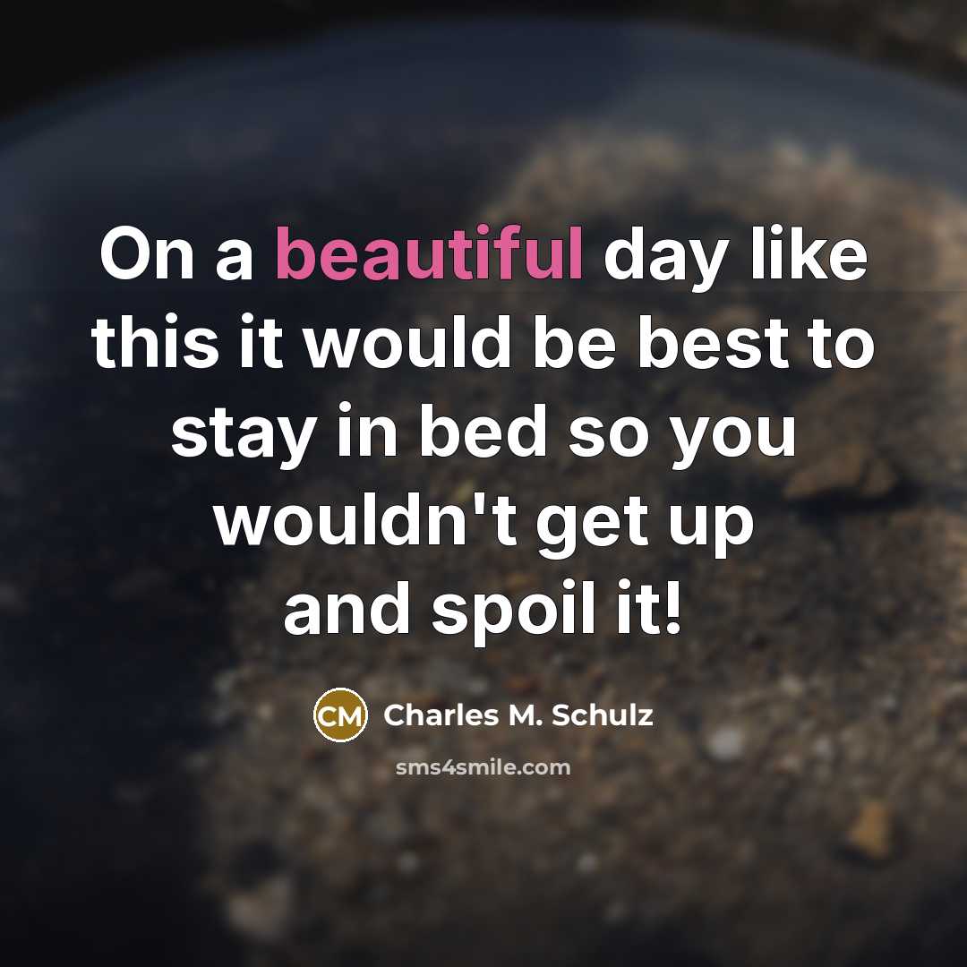 “On a beautiful day like this it would be best…” quote by Charles M. Schulz