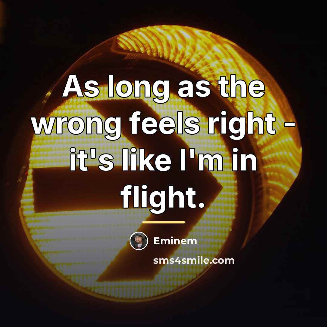 “As long as the wrong feels right - it's like…” quote by Eminem