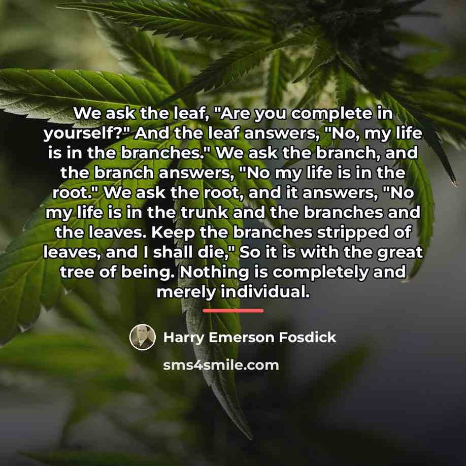 “We ask the leaf, "Are you complete in yourself?" And…” quote by Harry Emerson Fosdick