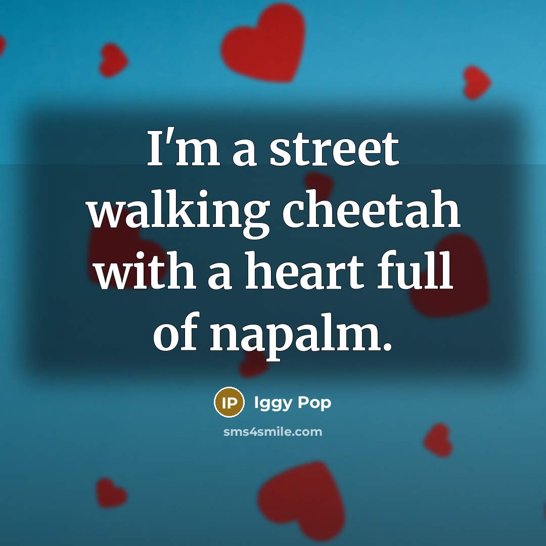 “I'm a street walking cheetah with a heart full of…” quote by Iggy Pop