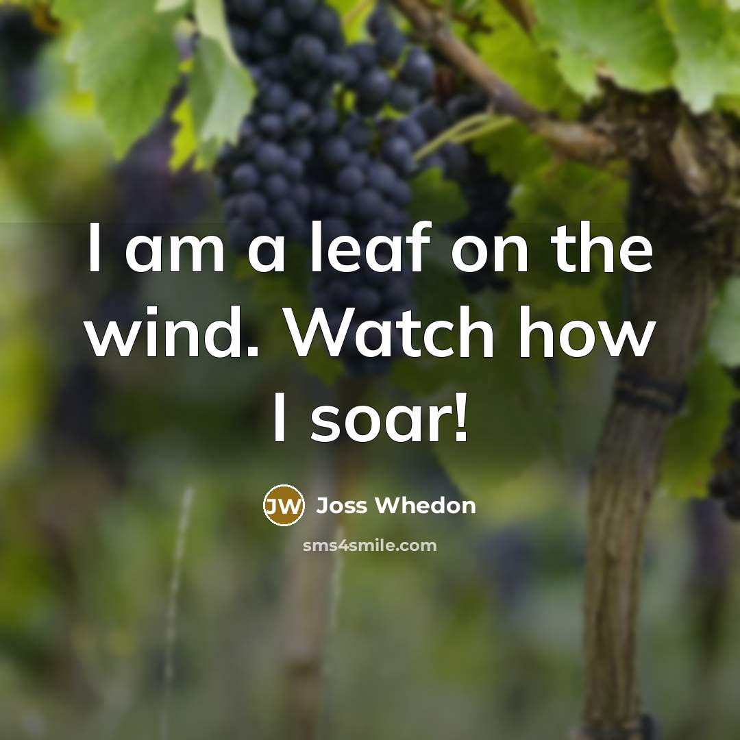“I am a leaf on the wind. Watch how I…” quote by Joss Whedon