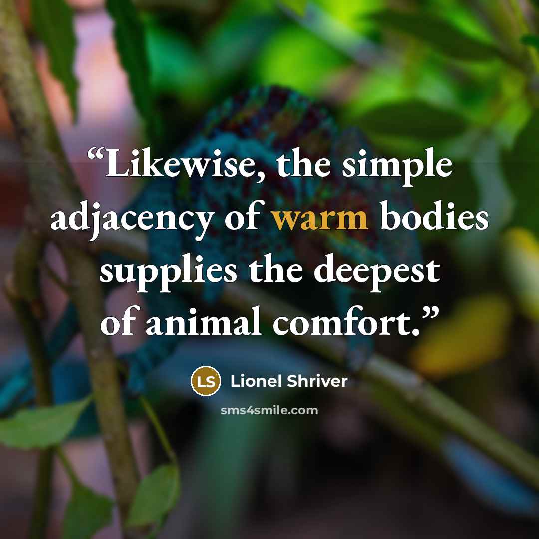 “Likewise, the simple adjacency of warm bodies supplies the deepest of animal comfort.” quote by Lionel Shriver